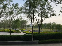 -东营·森林乐园