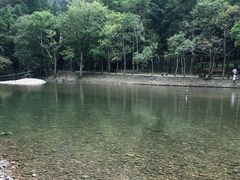 -龙湾潭国家森林公园