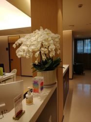 -Yestar杭州艺星医疗美容医院