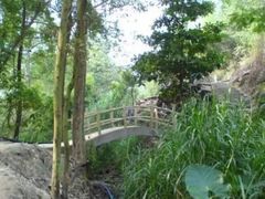 -火炉山森林公园