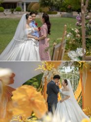 -MECCI婚礼摄影跟拍(红东方广场店)