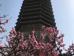 -玲珑塔公园