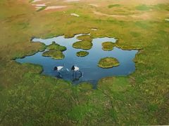-盐城丹顶鹤湿地生态旅游区