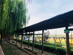 -河北村民俗体验园