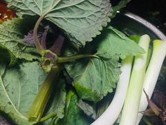 -老杨砂锅鱼庄