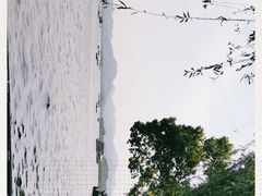 -西湖游船