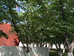 -龙美术馆西岸馆-停车场