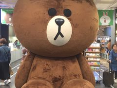 -line friends(明洞旗舰店)
