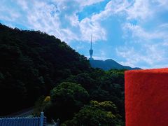 -梧桐山风景名胜区