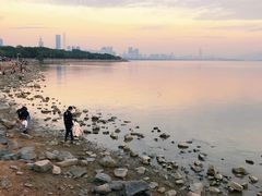 -深圳湾公园(南山区)