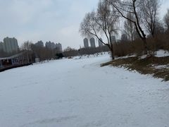 -群力丁香公园