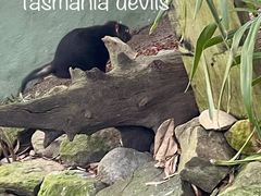 -费瑟代尔野生动物园