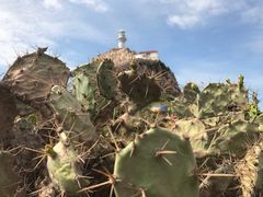 -黄记四更烤乳猪店