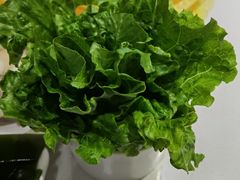 -古乐牛香·鲜牛肉牛杂火锅(吴江三里桥运东商业广场店)