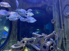 -成都浩海立方海洋公园