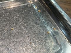 -清真聚陇缘美食餐厅(南横东街店)