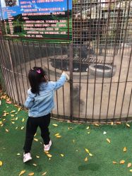 -萌宠亲子动物乐园(槐房万达店)