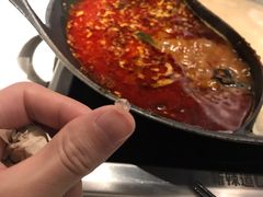 鱼鳞火锅-新辣道鱼火锅(西直门店)