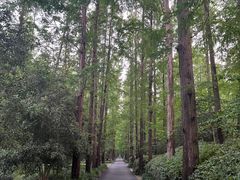 -上海怡沁园度假酒店