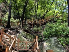 -大岭沟猕猴桃谷风景区