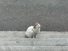-李叔同故居纪念馆