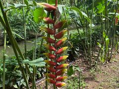 -中国科学院西双版纳热带植物园