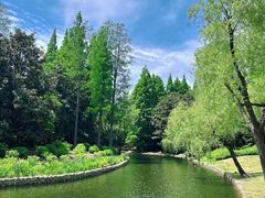 -上海滨江森林公园