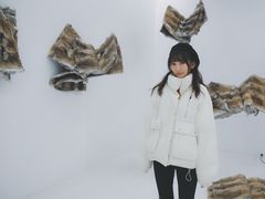 -金茂览秀城