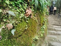 -黄葛古道
