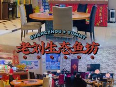 -老刘生态大鱼坊铁锅炖鱼(赛马场店)