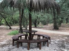 -北海金海湾红树林生态旅游区