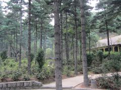 -洛阳白云山景区