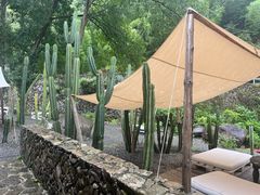 -MOJ coffee(瓯海泽雅水碓坑店)