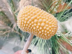 -AEON永旺(东方宝泰店)