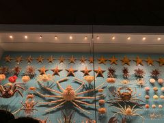 -贝林大翅鲸简餐厅(国家海洋博物馆店)