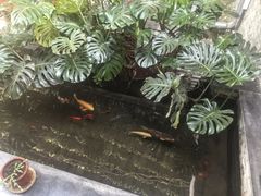 -燕北云山·农家菜·灶台鱼(密云溪翁庄店)