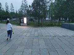 -台儿庄古城