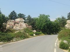 -北京西山国家森林公园