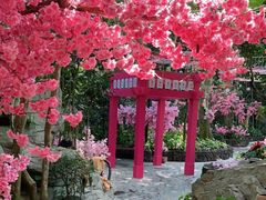 -海口观澜湖火山温泉谷