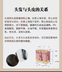 -Bollins波林丝•专研护发中心