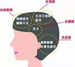 -诗碧曼·头疗养发馆