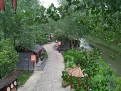 -合肥滨湖国家森林公园