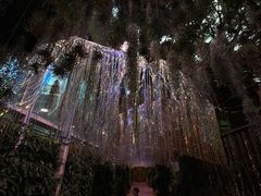 -正佳雨林生态植物园