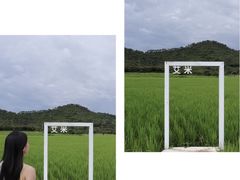 -艾米稻香小镇