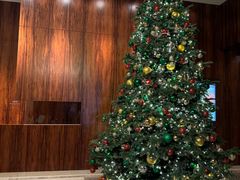 -香港尖沙咀凯悦酒店