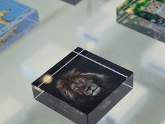 -罗红摄影艺术馆