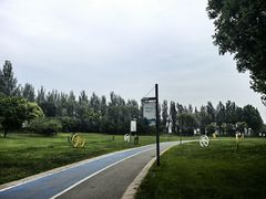 -五环公园