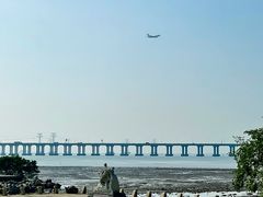 -宝安西湾红树林湿地公园