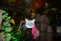 -恐龙探索乐园(磁器口店)