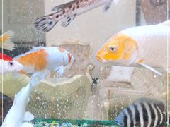 -渔民新村(番禺总店)